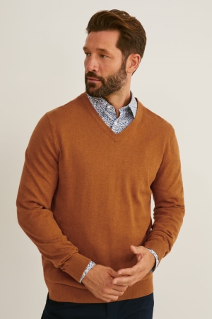 Brown / Blue C&A And Regular Fit Button-down Collar Easy-iron- Recycled Men's Jumper | IDPRW-2340