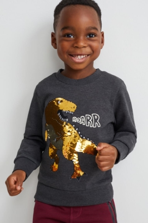 Dark Gray C&A Dinosaur Shiny Girls' Sweatshirts | NEXOD-3185