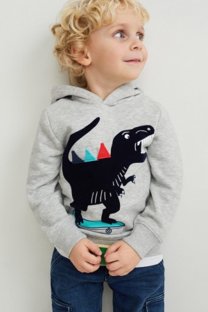 Light Gray Melange C&A Dinosaur Girls' Hoodie | HDRXM-5236